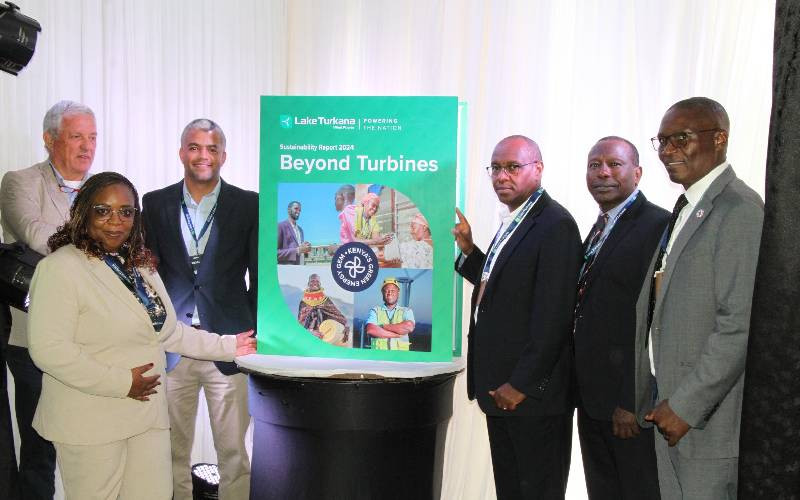 Lake Turkana Wind Power spent Sh2.6b on taxes