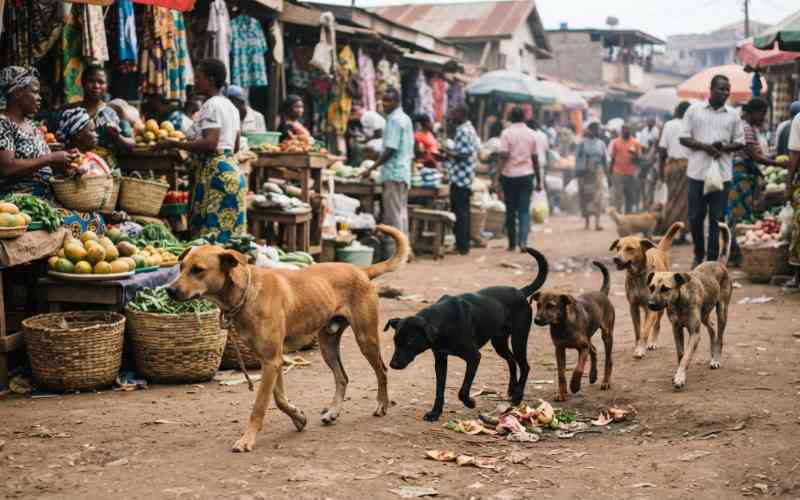 Stray dogs: Kenya's silent public health concern