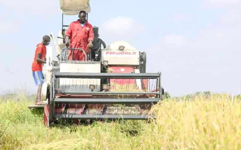 Farmers win round one as court halts duty-free rice  importation