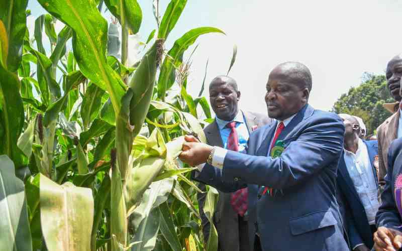 State promises to comply with EU law for deforestation-free products