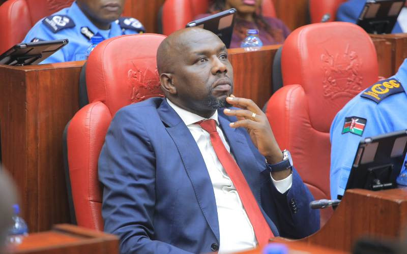 Allocate funds to build security roads, Murkomen tells MPs