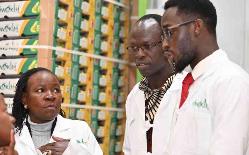 Inside Kenya's bold plan to end gaping TVET graduate skills mismatch