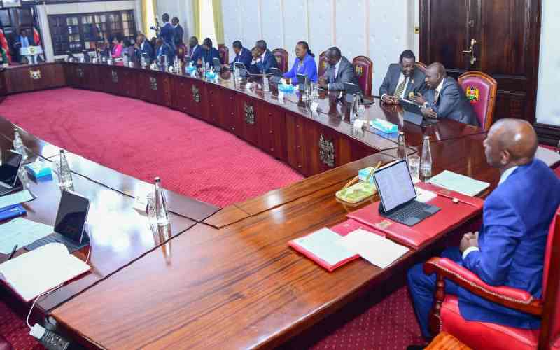 Back to Sender: Why court has rejected Ruto's bloated team of advisers