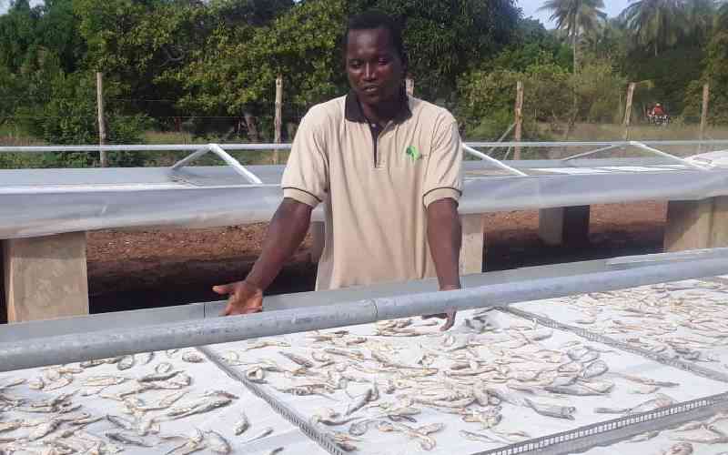 Why fishermen in Coast remain poor at mercy of foreign trawlers