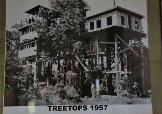 Of the departed Queen Elizabeth II and the dying Treetops hotel