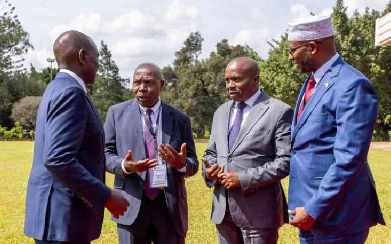 Ruto moves to release devolved functions to counties