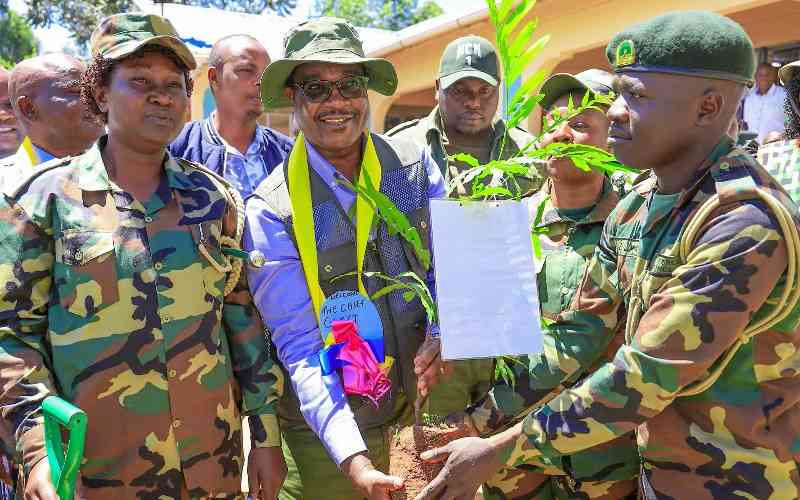 Experts now cast doubts on Ruto's ambitious 15 billion trees push