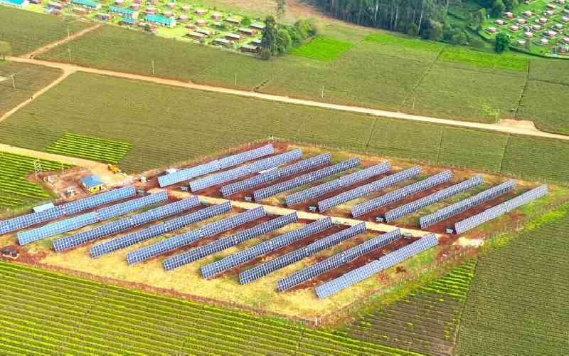 Tea firm commissions 2.4 megawatt solar plant