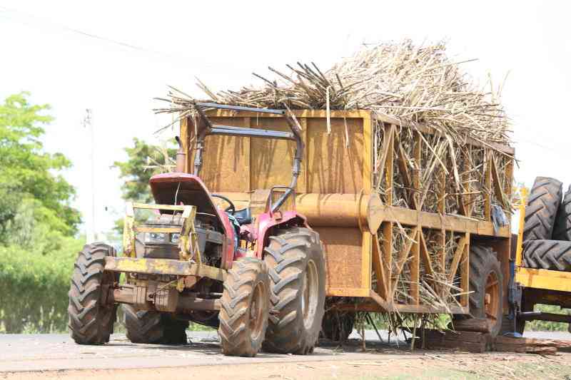 New cane price leaves sour taste in farmers' mouths