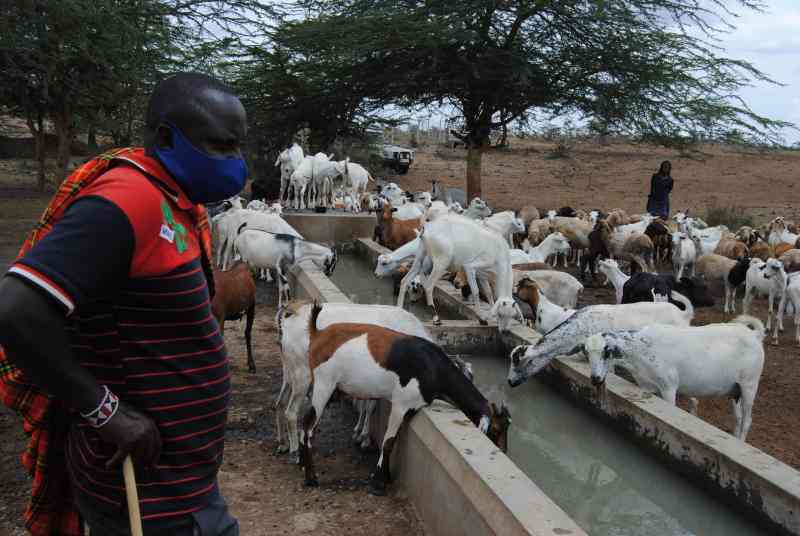 Initiative to boost pastoralists with funding