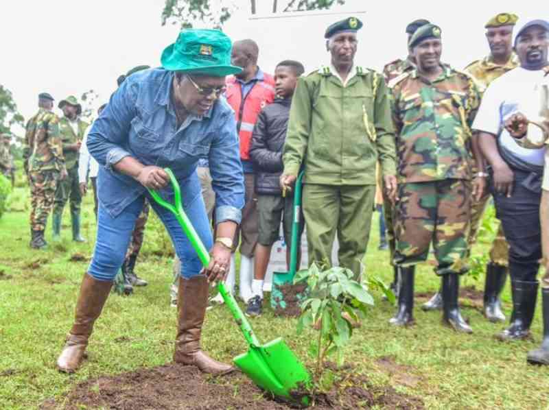 Cabinet Secretaries join President Ruto in planting 150 million trees