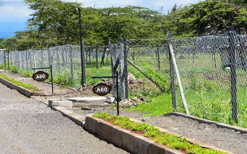 Chaka's housing boom bets on investors' demand for city-style