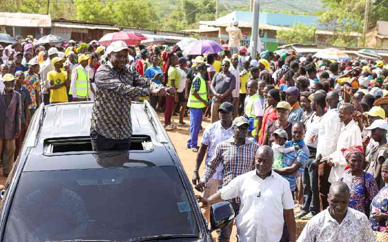 Why Mt Kenya must resist attempts to divide it into East and West