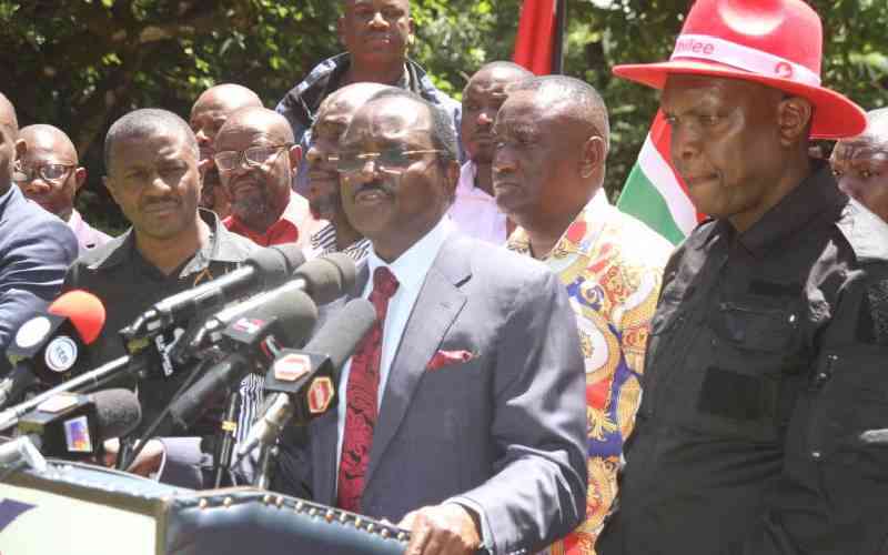 Kalonzo demands release of 82 abducted Kenyans