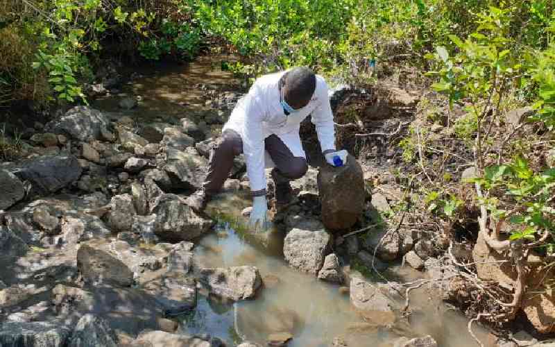 Locals raise alarm over chemical spill from gold mines into streams