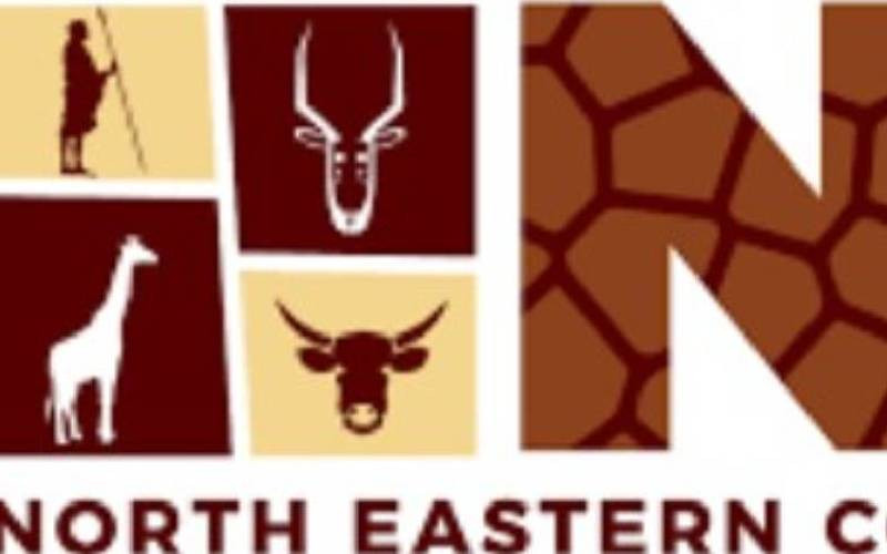 North Eastern needs leadership that sees its potential clearly