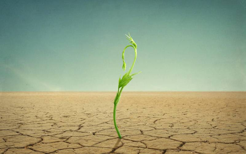 As Iran's record drought and cheap fuel spark pollution, causes run deep