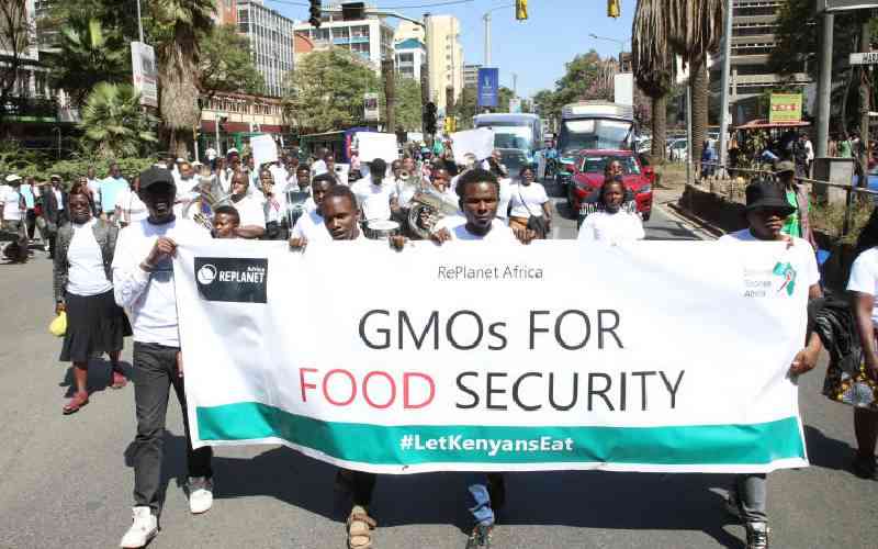 Court paves way for importation of GMO foods as it quells safety fears