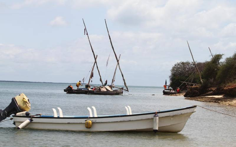 Experts call for holistic 'Blue Values' approach to protect Indian Ocean