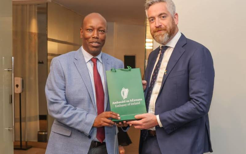 Kenya and Ireland to boost trade, investment