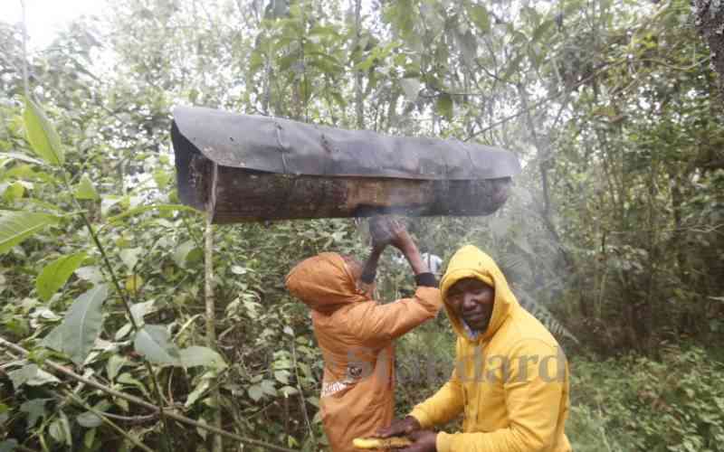 Family has lived off Mau Forest for years despite State evictions