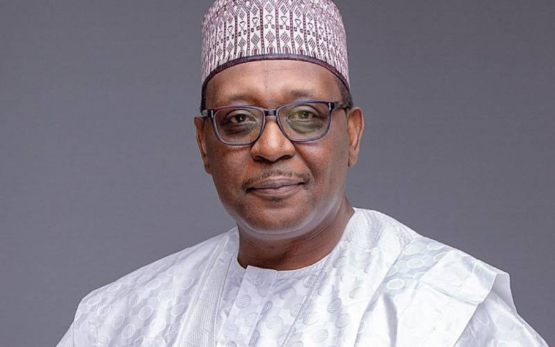 Former Nigerian Health Minister Dr Muhammad Ali Pate appointed Gavi CEO
