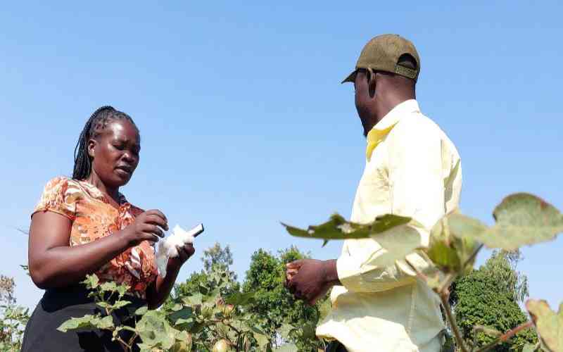 24 tonnes of cotton seed distributed in Busia