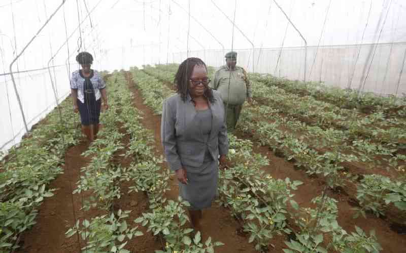 Nakuru Women Prison: Where women offenders farm to take care of families