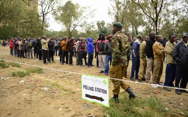 Caucus seeks 15 constituencies for diaspora Kenyans