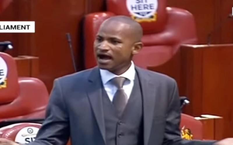 Ruto land row: Chaos as Babu Owino refuses to leave Parliament after being kicked out