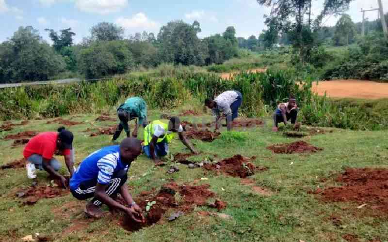 Trans Nzoia county targets to plant 11.9 million trees