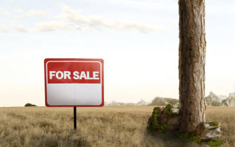 Land fraud in Kenya and prophetic task of 'due diligence'