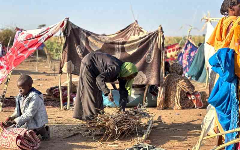 UK announces Sh750 million aid for Sudan after 'horrifying' reports