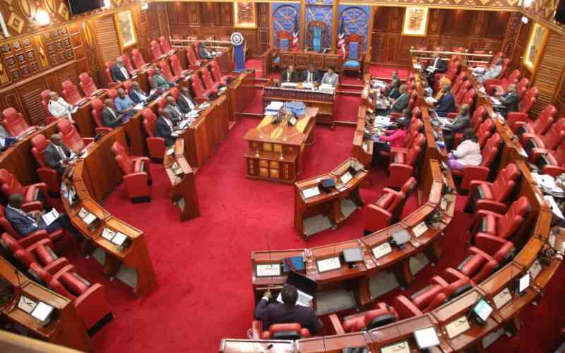 Senators demand action on criminal gangs ahead of 2027 general election