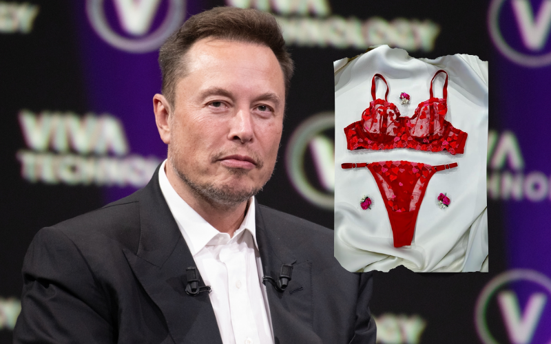 Grok: How bikini photo manipulation by Musk's AI sparked worldwide crackdown