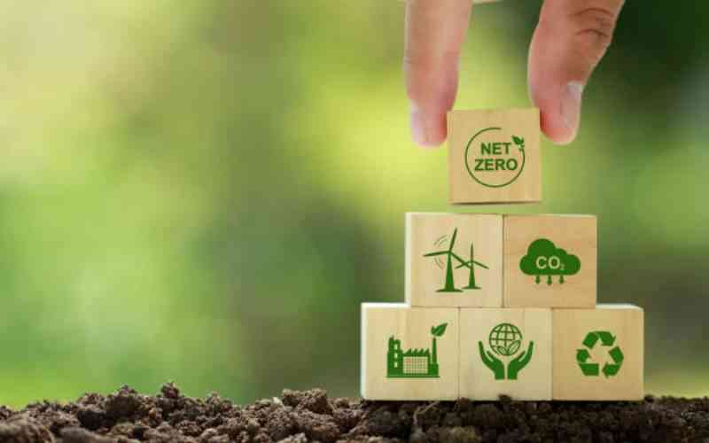World Bank unlocks Sh5.5b green fund for local SMEs