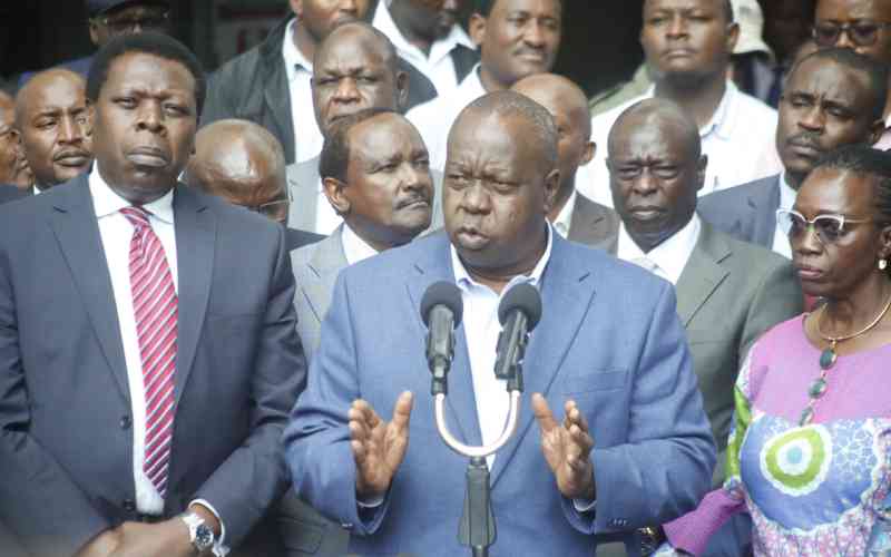 Opposition issues demands to IEBC, threatens mass action if not addressed