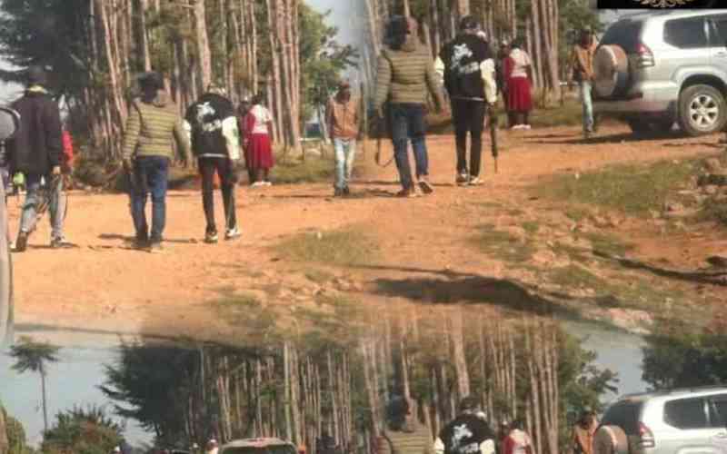 Police reforms working group: DCI must unmask Ol-Kalou goons