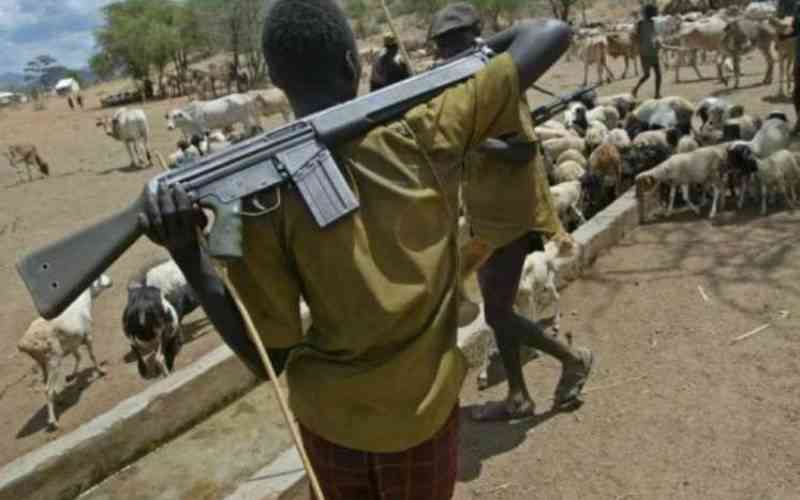 Uganda military gives Turkana herders 14 days to return cattle allegedly stolen from Uganda