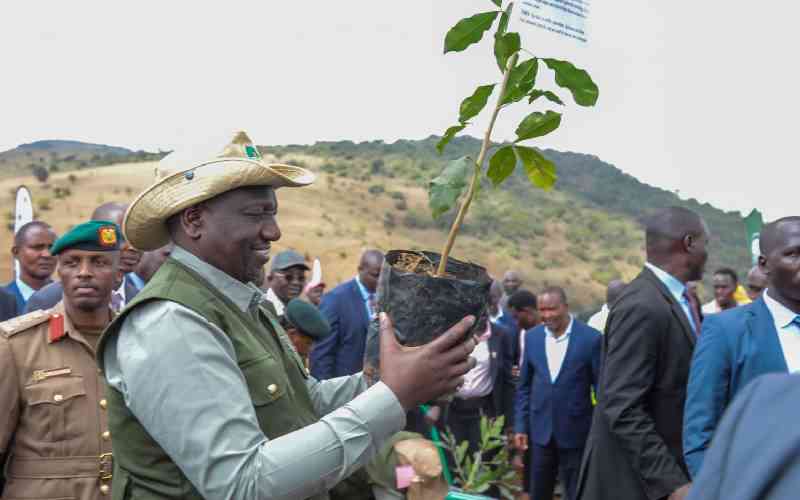 Ruto leads Kenyans in National Tree-planting drive