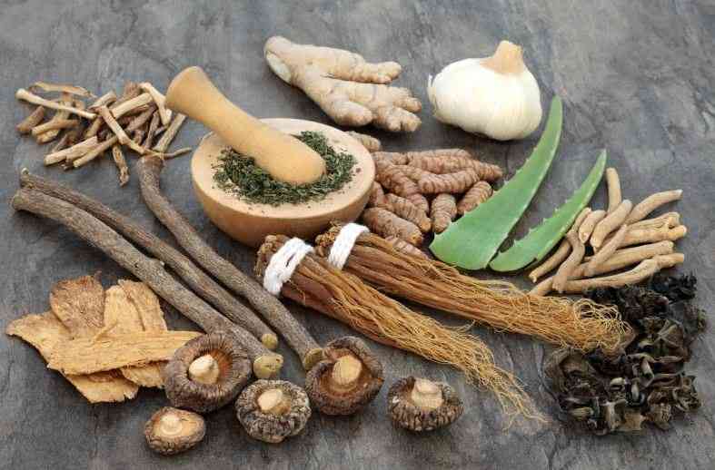 Going back to the roots: State acts to save healing herbs