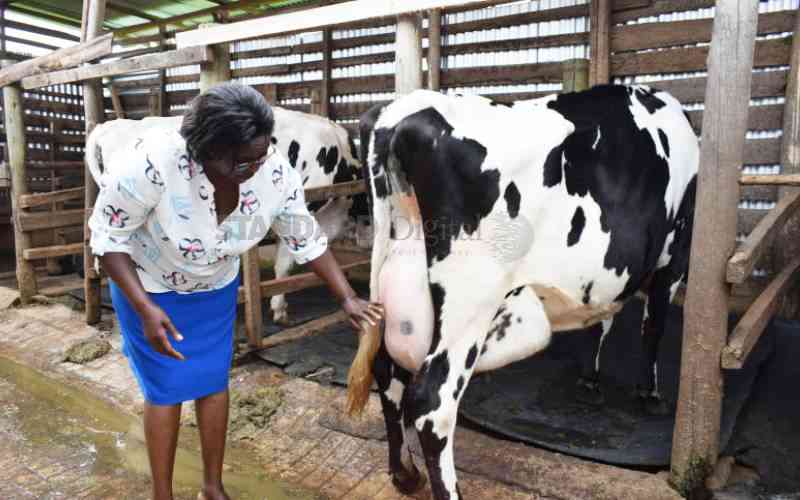 New drive lifts women's place in dairy farming