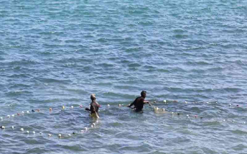 How regional project catalysed a concerted front against illegal fishing