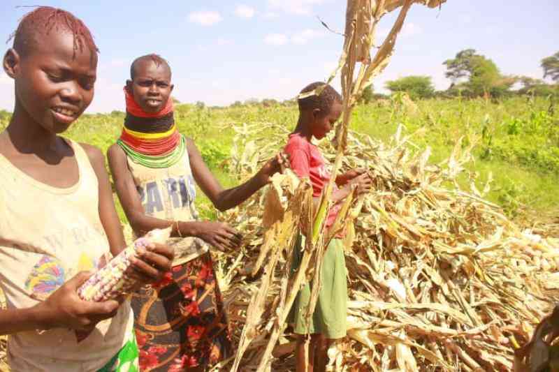 Eleven fellowship winners to help shape agri policies