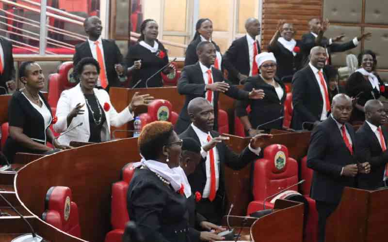 County assemblies have done well, but can do better with more funds