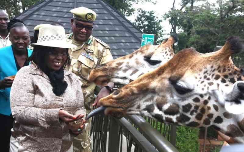 Places to visit in Nairobi for under Sh1000