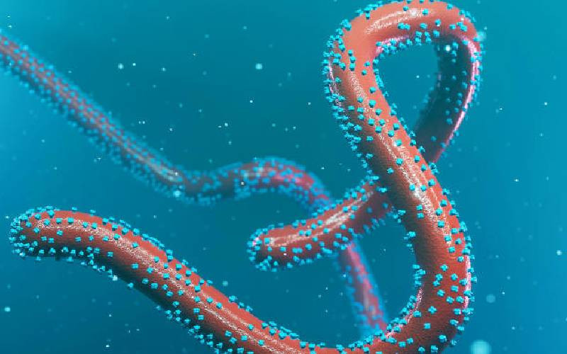 Disease X:  The unknown threat that could trigger the next pandemic