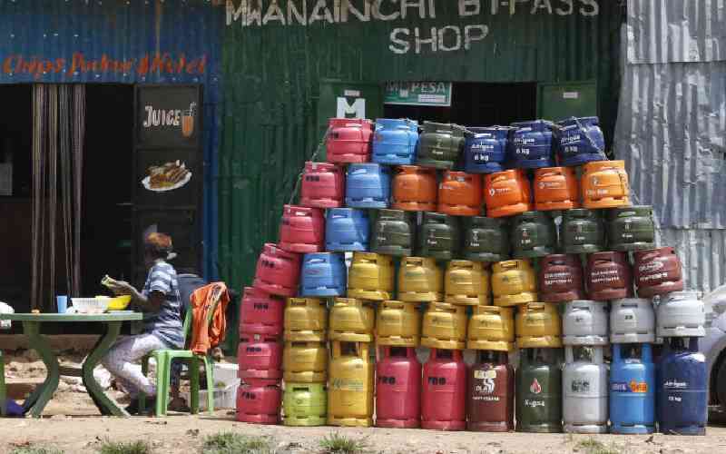 Saudis to fund cooking gas plan in exchange for Kenya carbon credits