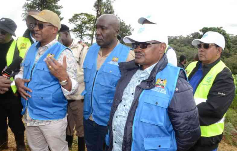 Water Authority oversees planting of 19,000 trees in Lari forest, Kiambu