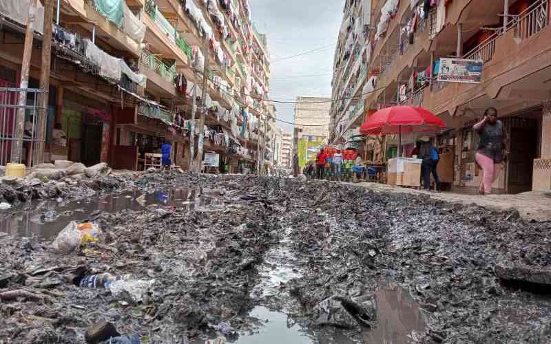 World Bank report faults State over neglect of rental market